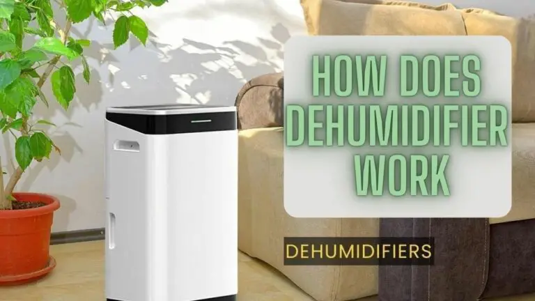 What are Dehumidifiers and How Does a Dehumidifier Work?