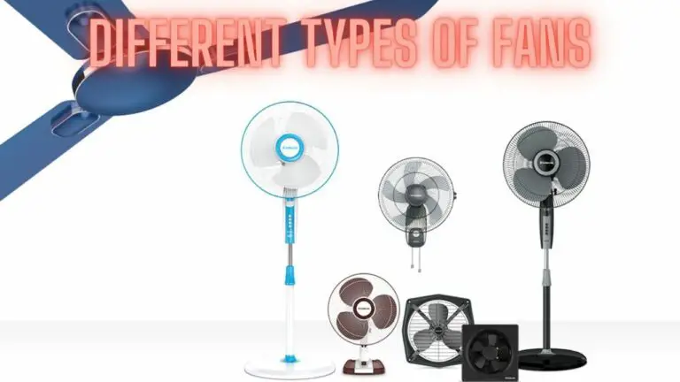 Different Types of Fans: Exploring the World of Fans