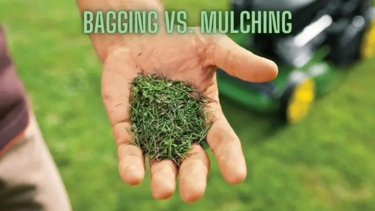 Bagging vs. Mulching: Unveiling the Choices for a Lush Lawn