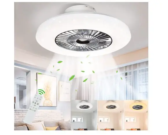 DINGLILIGHTING  26 In LED Remote Ceiling Fan