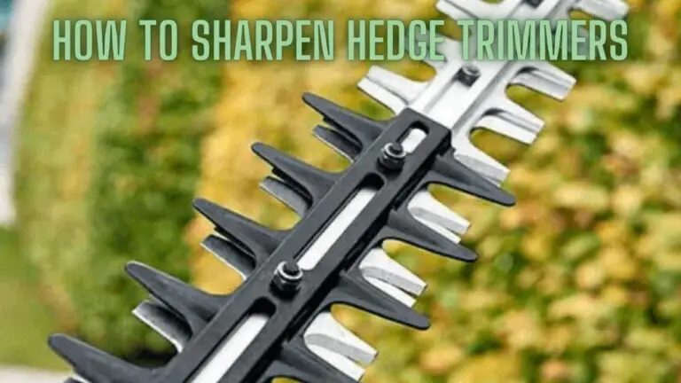 How to Sharpen Hedge Trimmers: A Comprehensive Guide for Easy Maintenance