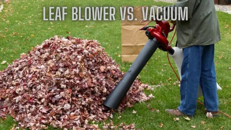 Leaf Blower vs. Vacuum – Exploring the Key Differences