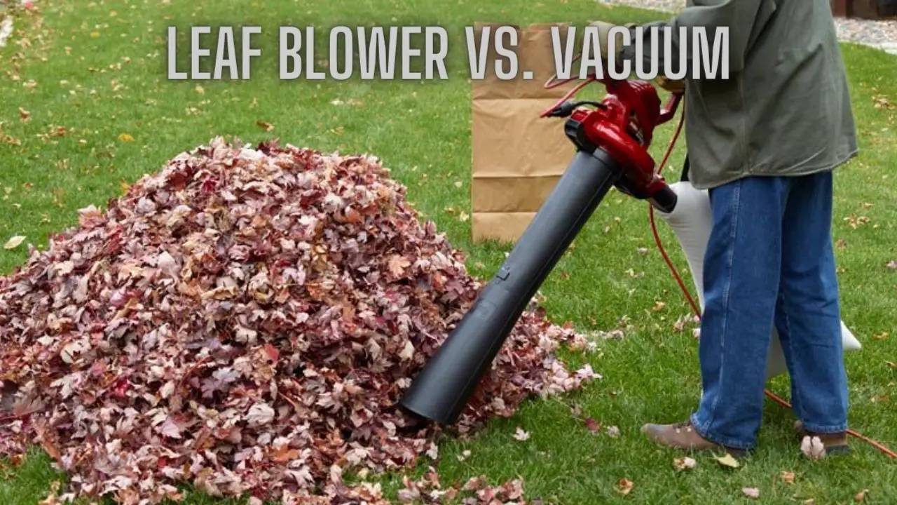 Leaf Blower vs. Vacuum