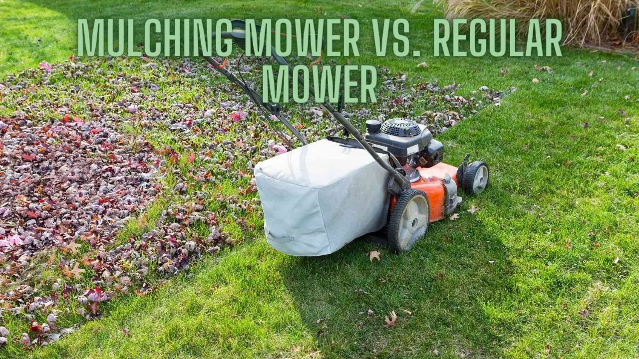 Mulching Mower vs. Regular Mower